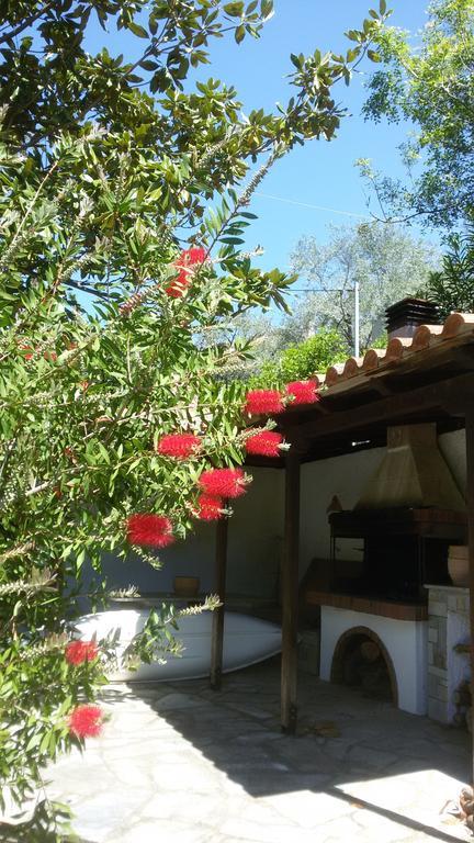 فيلا Stelios Seaside House ليفوكاسترو المظهر الخارجي الصورة